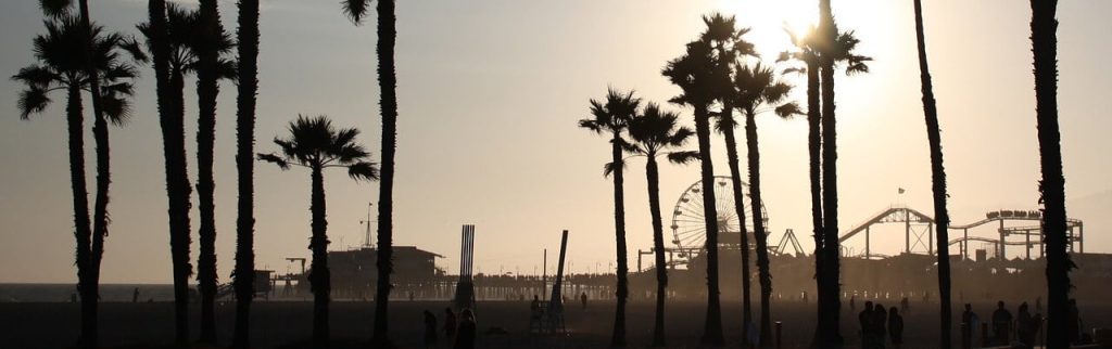 Le palme e il pier di Santa Monica