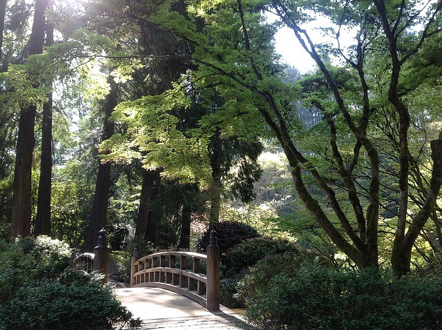 Ponte e alberi del giardino giapponese a Portland